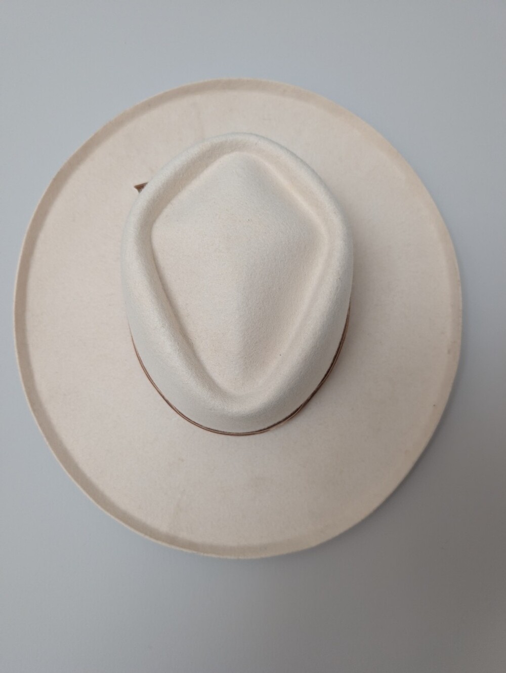 Lack Of Color Rancher Hat